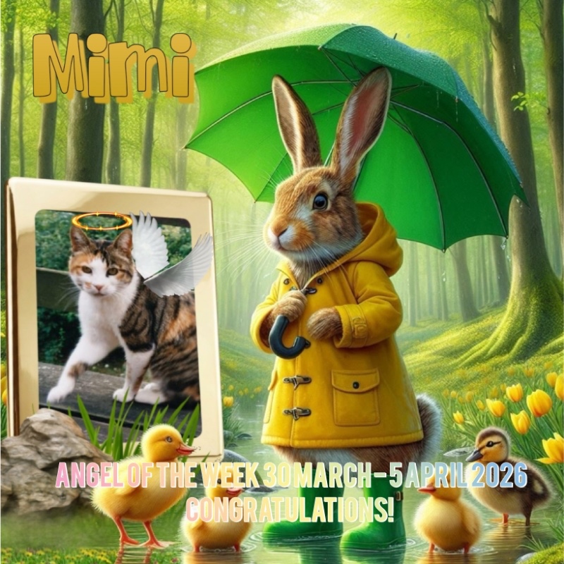 Mimi of the Rangoon family