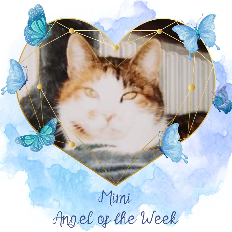 Mimi of the Rangoon family