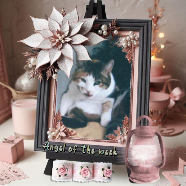 Mimi of the Rangoon family
