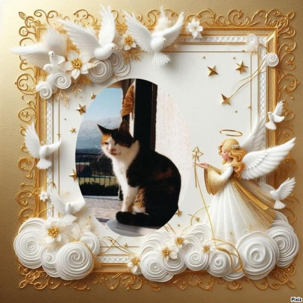 Mimi of the Rangoon family