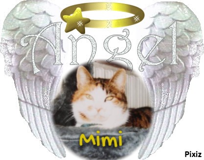 Mimi of the Rangoon family