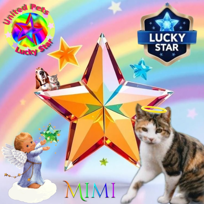 Rangoon uploaded   11  day/s  ago