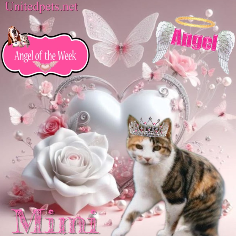 Mimi of the Rangoon family