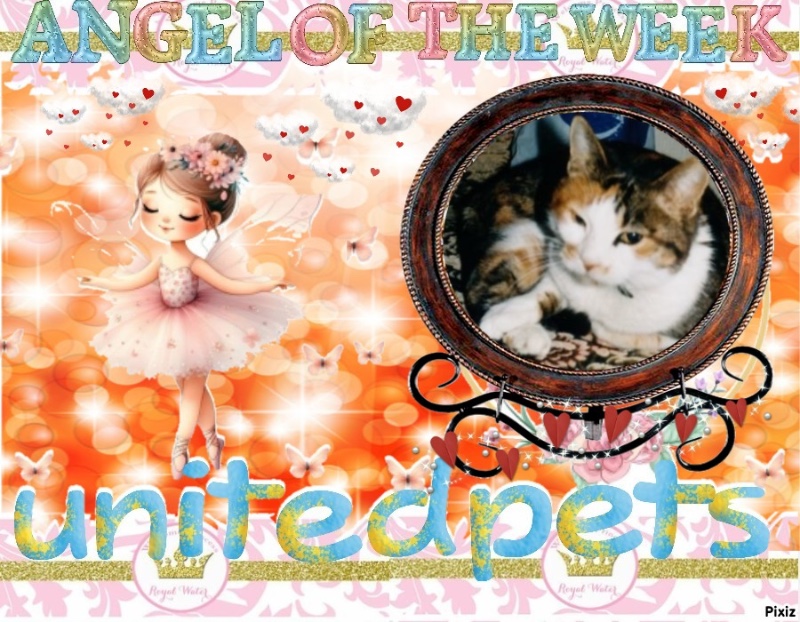 Rangoon uploaded   12  day/s  ago