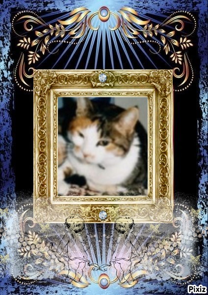 Mimi of the Rangoon family