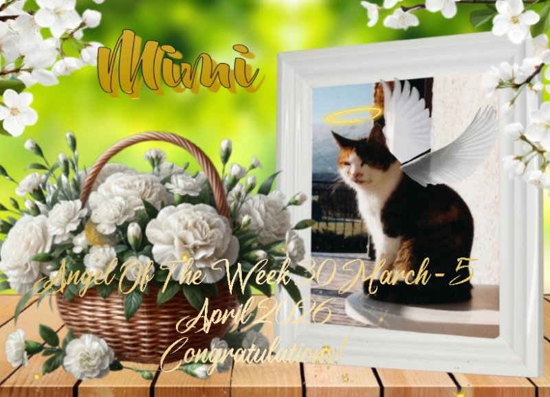 Mimi of the Rangoon family