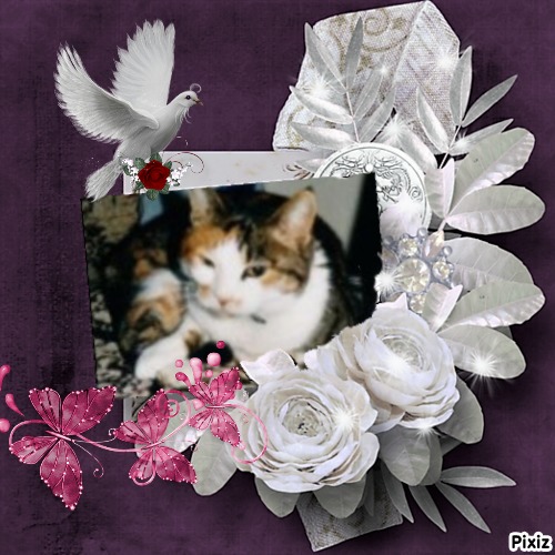 Mimi of the Rangoon family