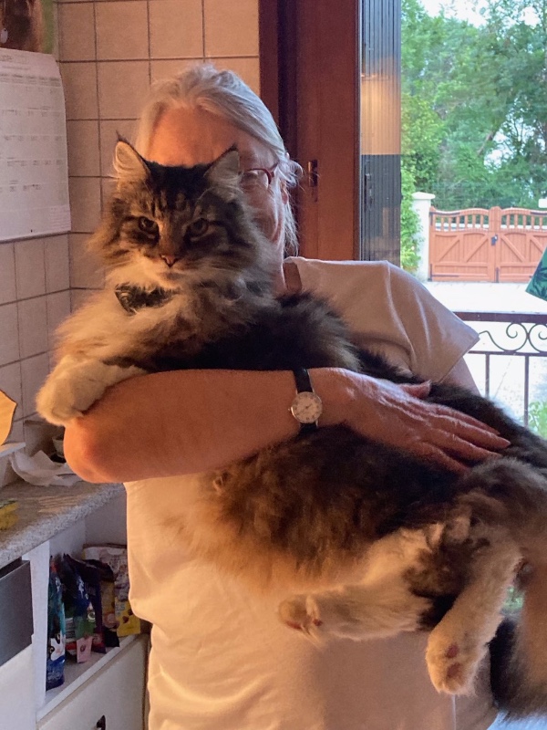 Rangoon uploaded   3 year/s ago