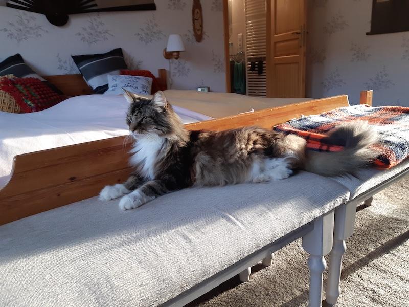 Rangoon uploaded   131  day/s  ago