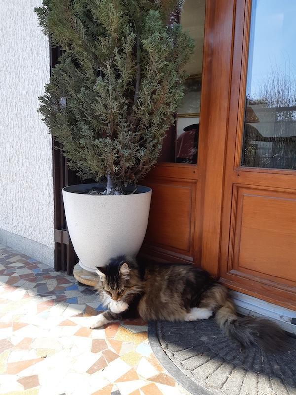 Rangoon uploaded   1 year/s ago