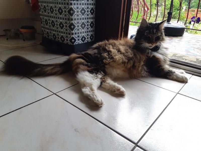 Rangoon uploaded   280  day/s  ago