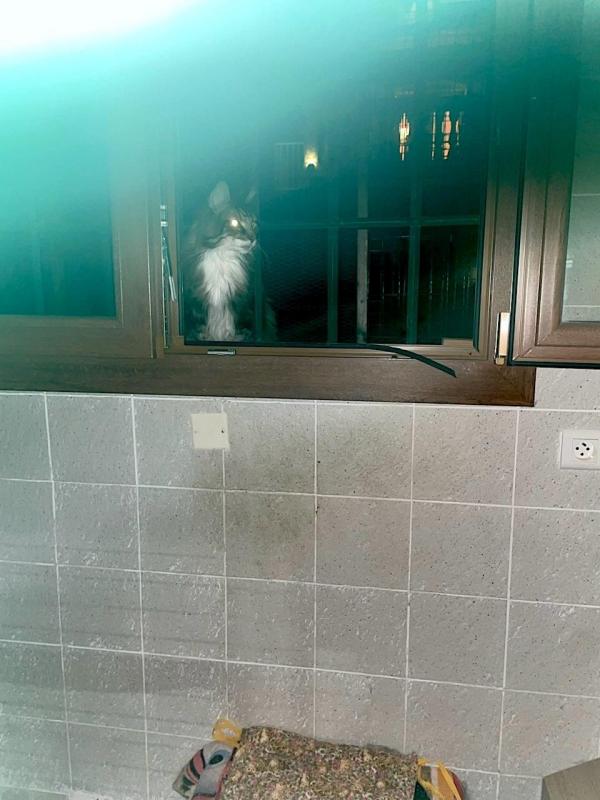 Rangoon uploaded   253  day/s  ago