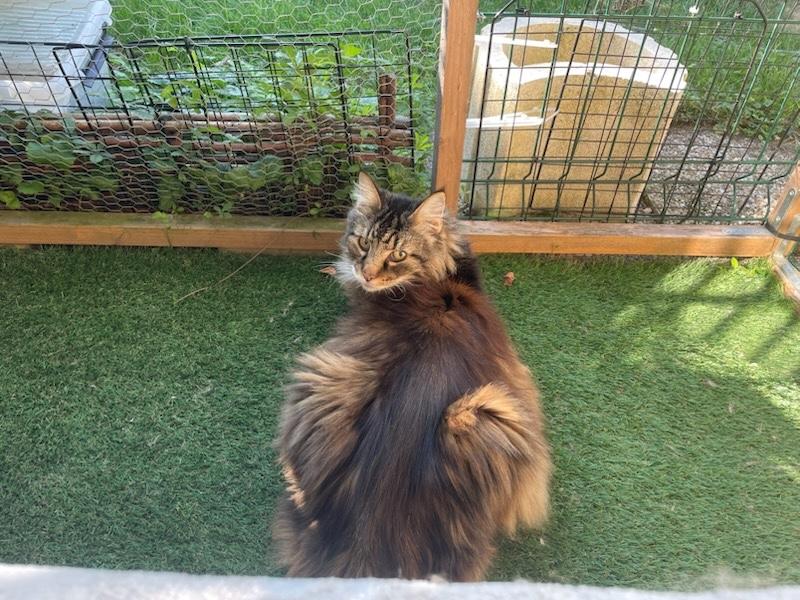 Rangoon uploaded   253  day/s  ago