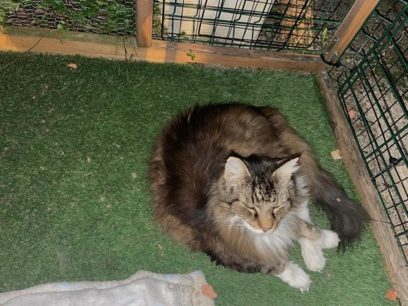 Rangoon uploaded   253  day/s  ago