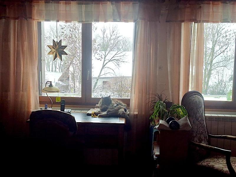 Ture Svansson of the Rangoon family