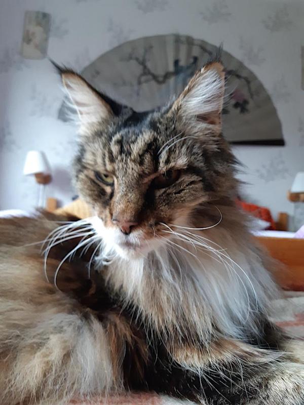 Rangoon uploaded   1  day/s  ago