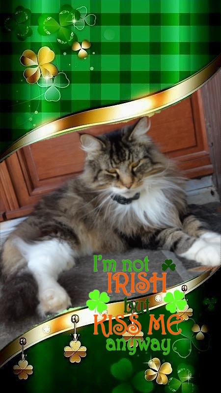 Ture Svansson of the Rangoon family