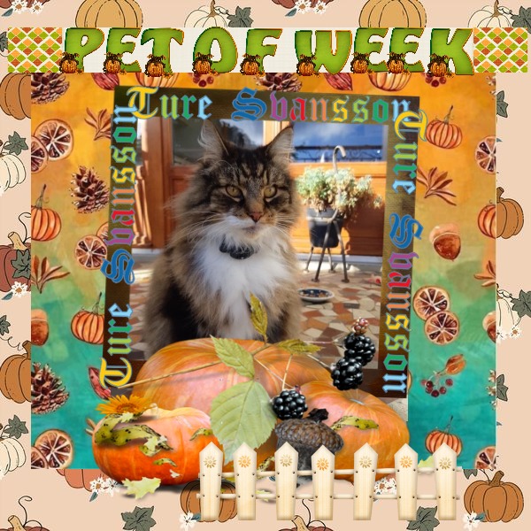Rangoon uploaded   234  day/s  ago