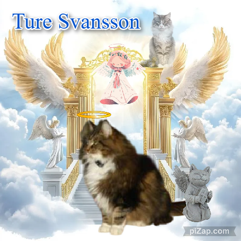 Ture Svansson of the Rangoon family
