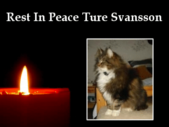 Ture Svansson of the Rangoon family
