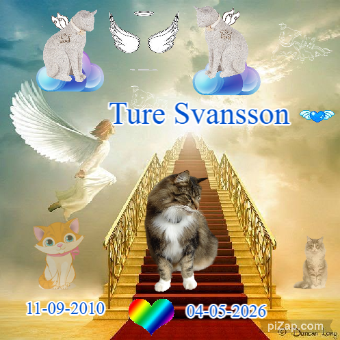 Ture Svansson of the Rangoon family