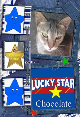 Chocolate of the Roxanne family