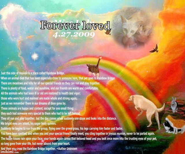 Stampy of the Roxanne family