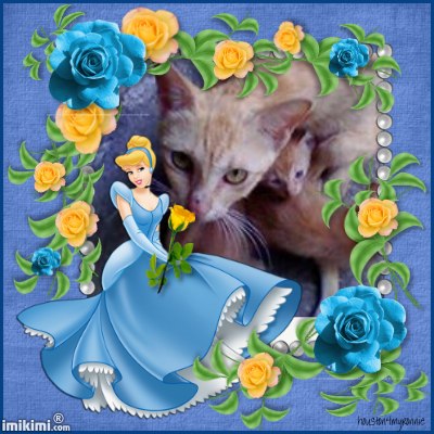 Stampy of the Roxanne family