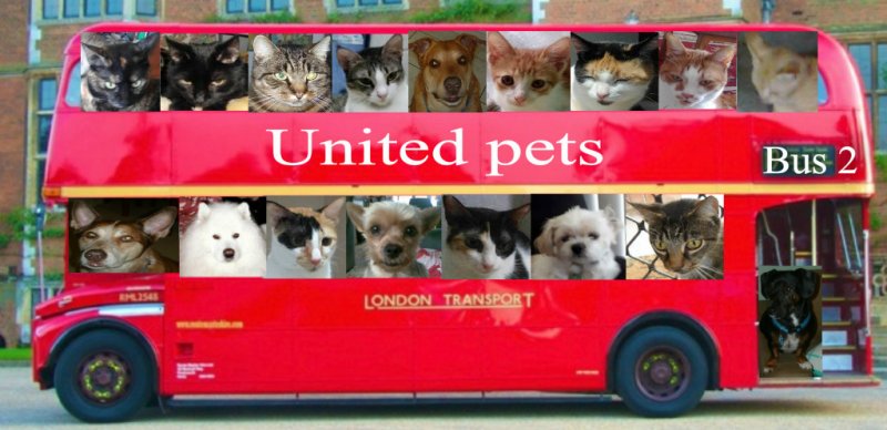 Stampy of the Roxanne family