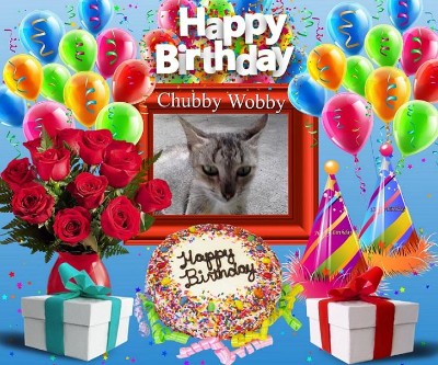 Chubby Wobby of the Roxanne family