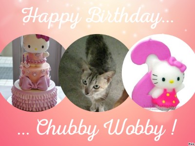 Chubby Wobby of the Roxanne family