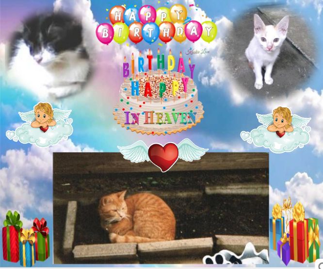 Princess Caramel of the Roxanne family