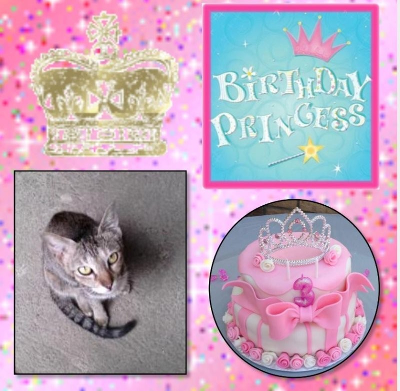 Aaronita of the Roxanne family