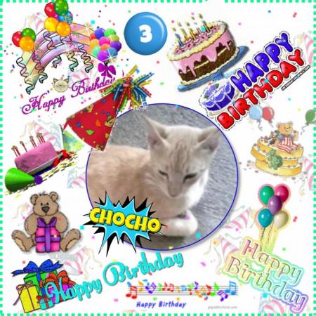 Chocho of the Roxanne family