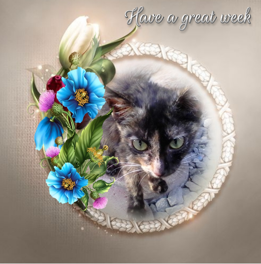 Butterscotch of the Roxanne family