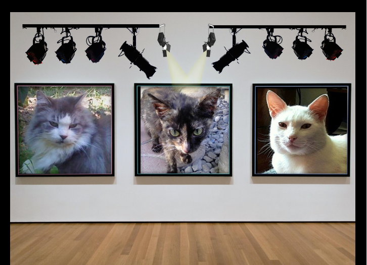 Butterscotch of the Roxanne family