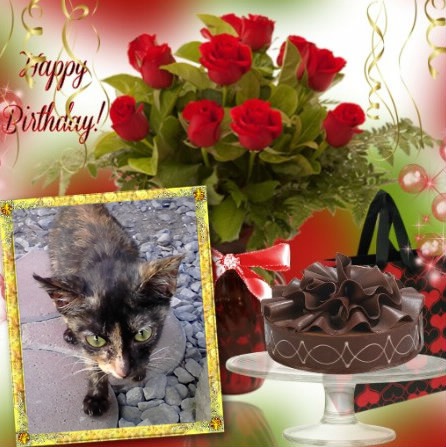 Butterscotch of the Roxanne family