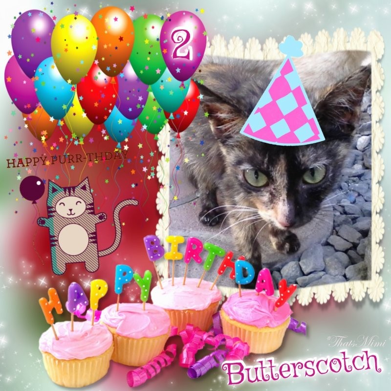 Butterscotch of the Roxanne family