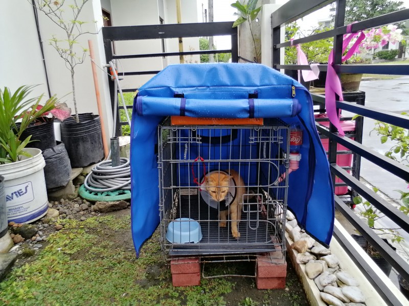 Minggay of the Roxanne family