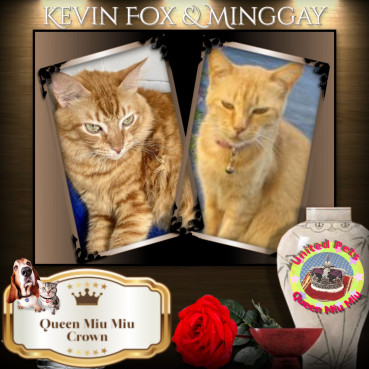 Minggay of the Roxanne family