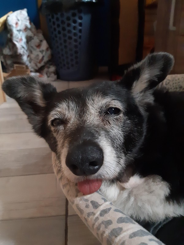 SephyJ83 uploaded   4 year/s ago