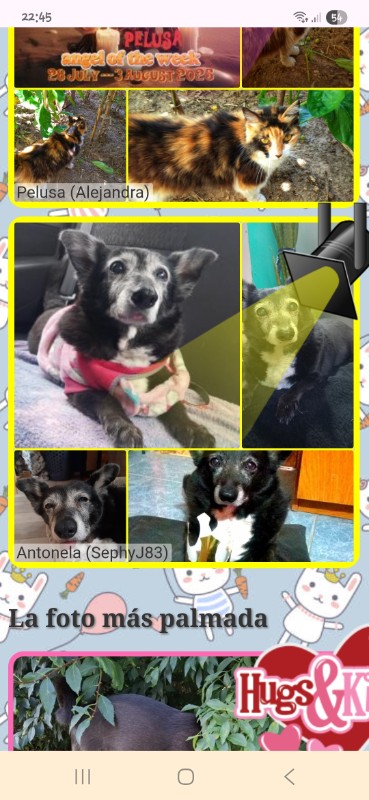 Antonela of the SephyJ83 family