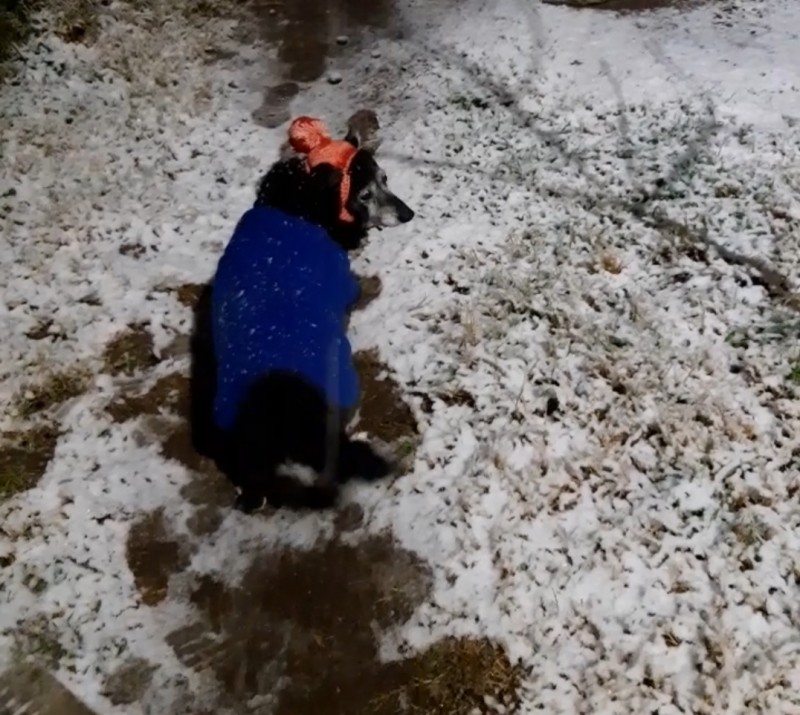SephyJ83 uploaded   3 year/s ago