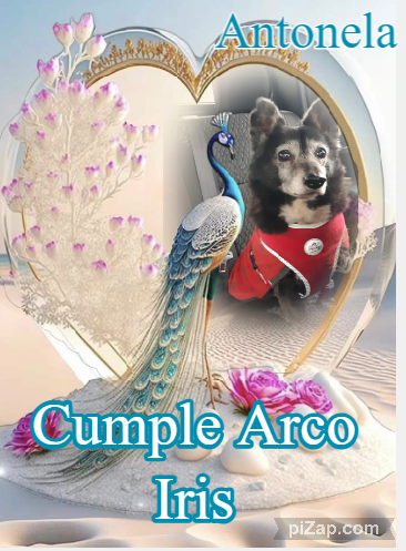 Antonela of the SephyJ83 family