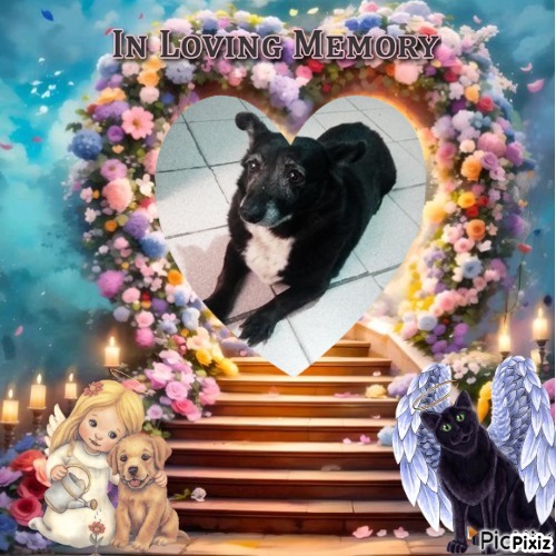 Antonela of the SephyJ83 family