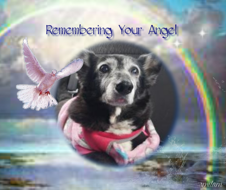 Antonela of the SephyJ83 family