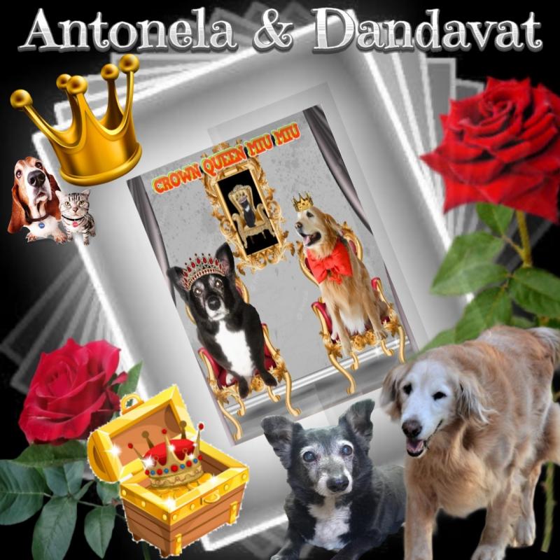 Antonela of the SephyJ83 family