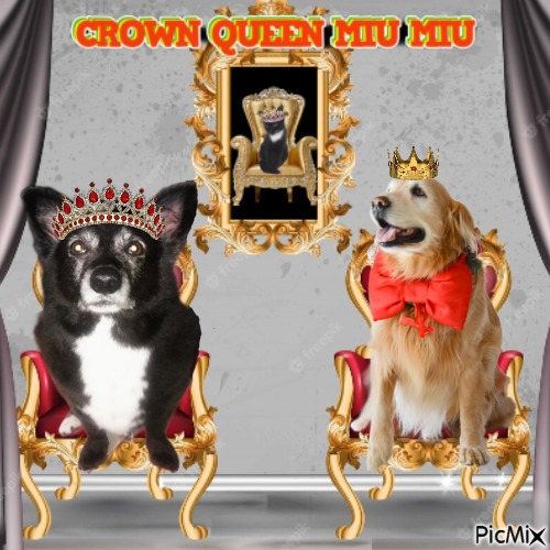 Antonela of the SephyJ83 family