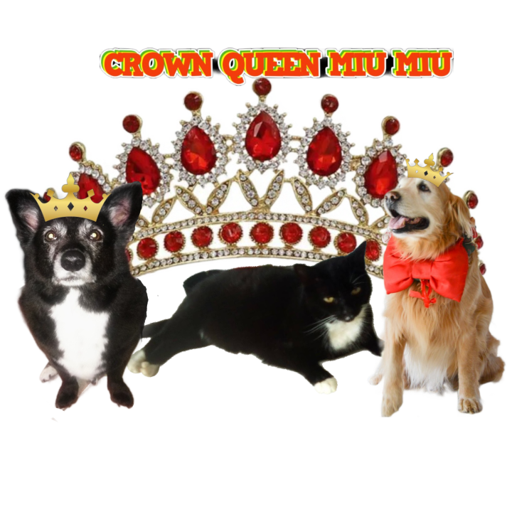 Antonela of the SephyJ83 family