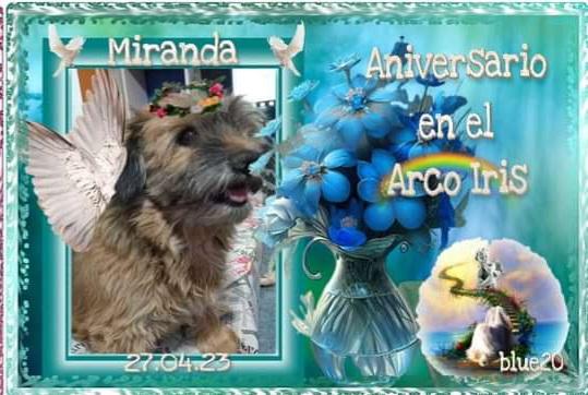 Miranda of the SephyJ83 family